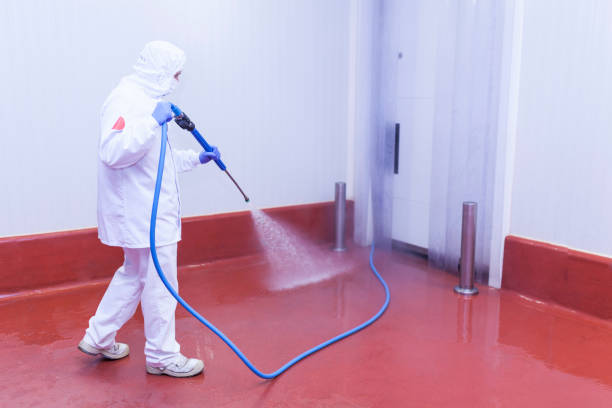 Best Pool Deck Cleaning  in Belle Mead, NJ