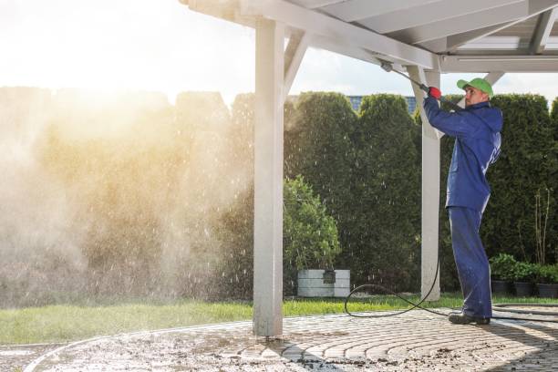 Best Solar Panel Cleaning  in Belle Mead, NJ